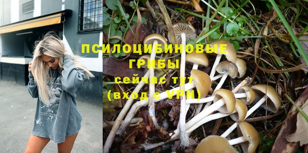 МДПВ Алексеевка